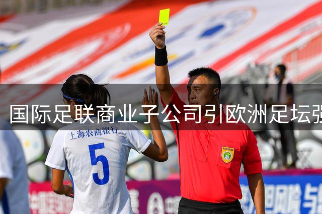 国际足联商业子公司引欧洲足坛强烈反弹 世界杯抵制危机暗流涌动